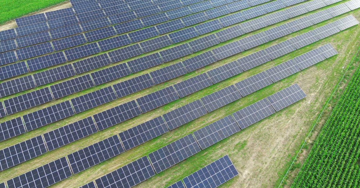 Why Durable Solar Placards Matter for System Safety A solar farm with long rows of dark panels on grass beside a bright green field and a pale dirt path.