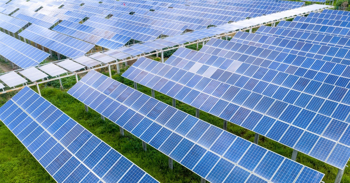 Rows of blue solar panels mounted on metal supports above green grass, with narrow paths separating the arrays.