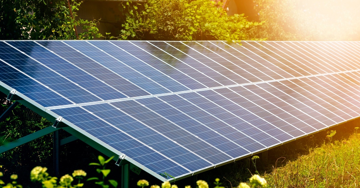 A solar grid installed in the middle of a grassy field. There are towering bushes and trees planted behind the solar panels.