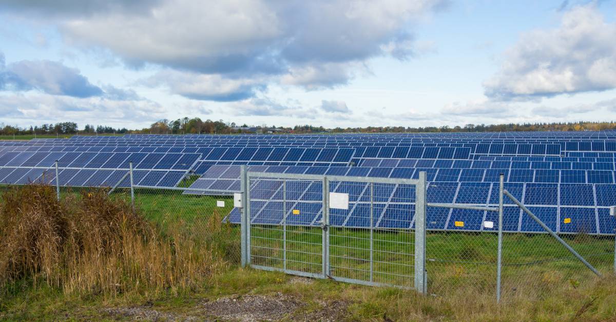 A solar farm with a gated entrance. There is a surrounding metal fence around the farm with an industrial gate.