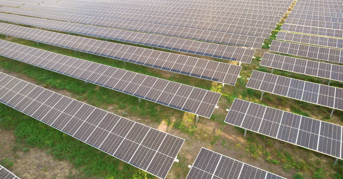 A solar farm is on a grassy field. There are dirt paths with minimal greenery growing between the rows of panels.