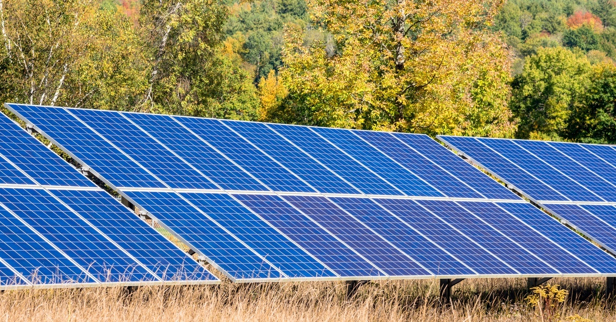 A small solar grid installed in a brown, grassy field. There are trees with green and brown leaves growing behind the panels.