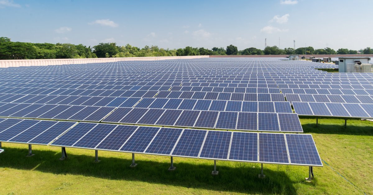 A view of a solar farm with solar panels stretching back to the end of the grass field on a sunny day.