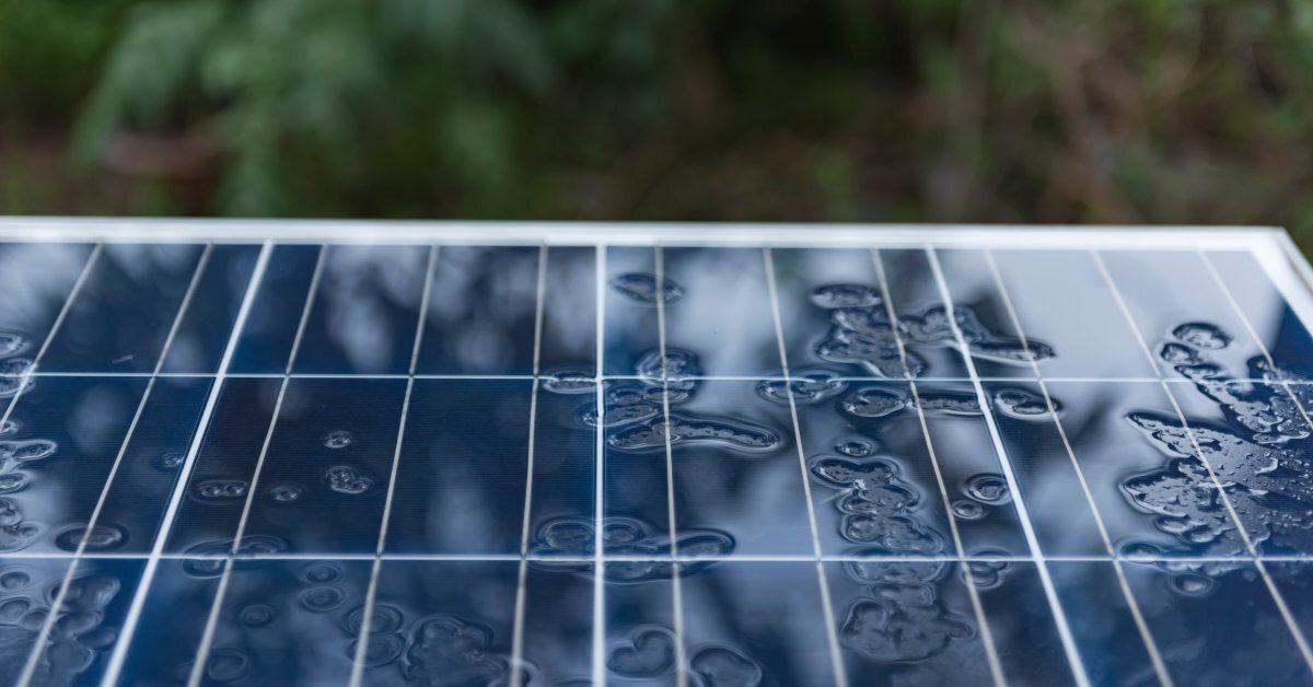 The corner of a solar panel has drops of water on top of it. Showing the reflection of the foliage above the panel.