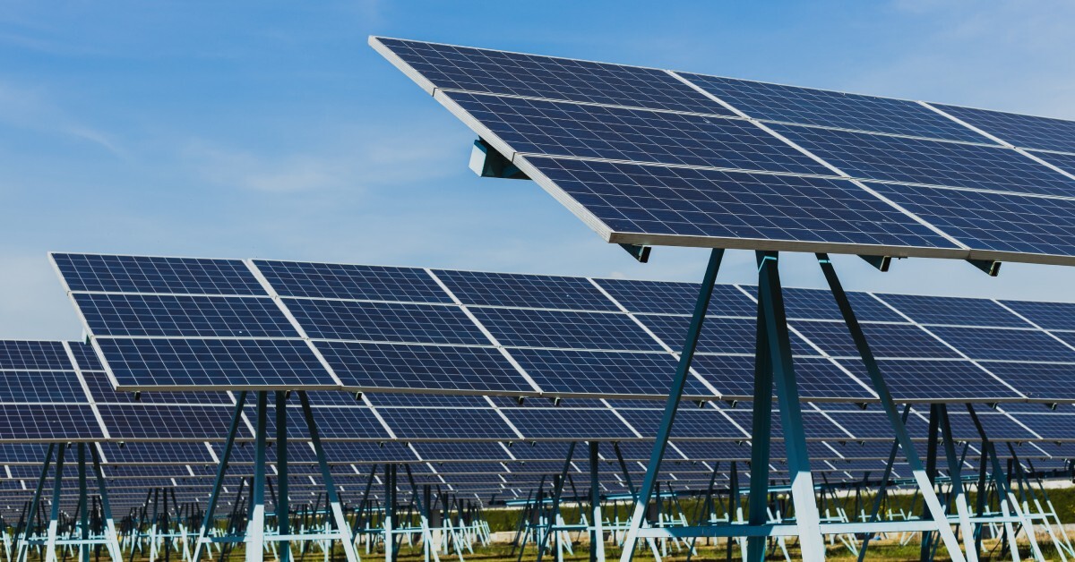 A field of solar panels with supports underneath them, keeping them elevated. Each group of panels is in a row.