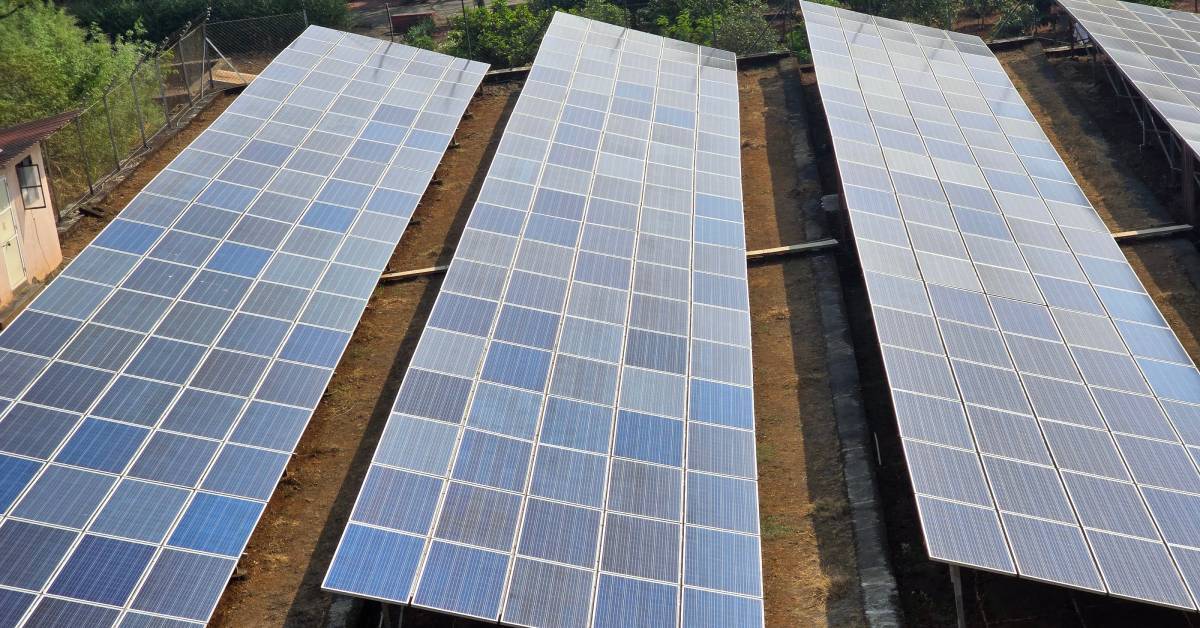  The side of a row of solar panels with dirt paths in between them. Trees run along the edges of the panels.