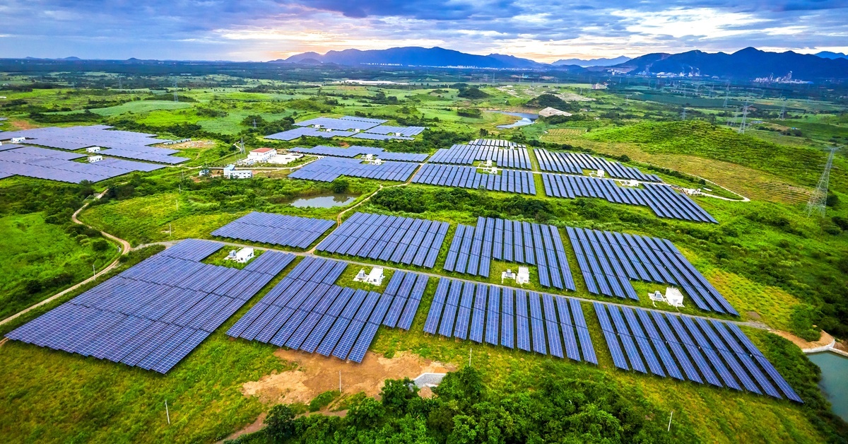 A large field with solar panels occupying open areas to absorb sunlight. Trees surround the solar farm.