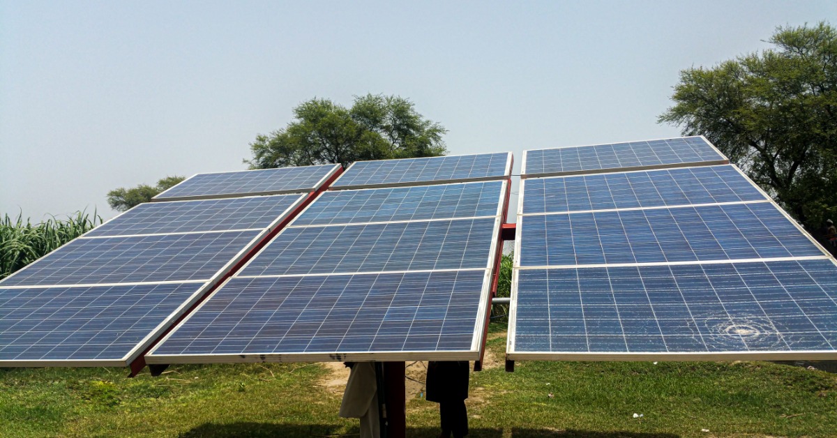 A small set of solar panels set on a patch of grass with trees behind it. The sun is shining on the panels.