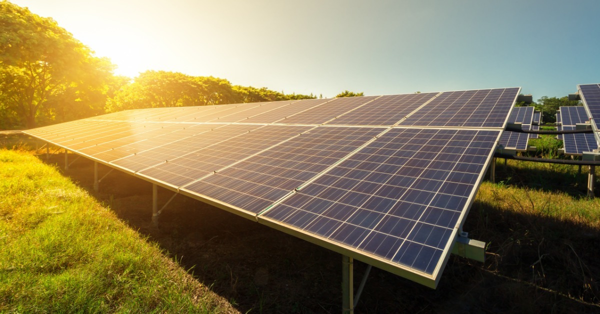 Solar panels in a field under a clear sky. From behind some trees, the sun is setting, casting rays on the panels.