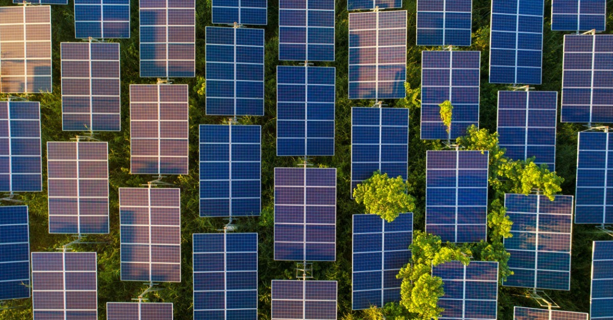 Above multiple rows of solar panels set up in a field of grass. Some trees and bushes stick up past the solar panels.