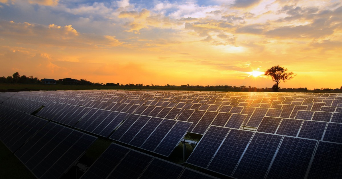 A large-scale solar farm with the sun setting behind the rows of panels. There is one tall tree behind the farm.